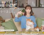 《无法忘怀前男友》日剧