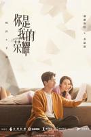 你是我的荣耀电视剧免费观看全集完整版